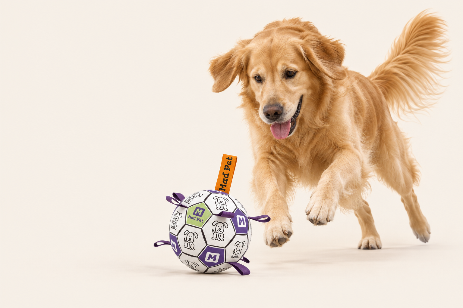 Illustrative campaign scene of a dog playing with a purple Mad Pet soccer ball
