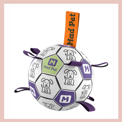 Interactive Dog Football Soccer with Grabbing Tabs - Purple B