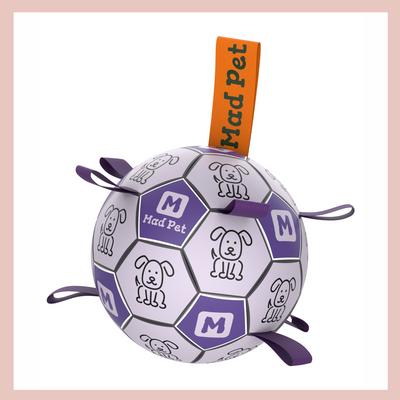 Interactive Dog Football Soccer with Grabbing Tabs - Purple A