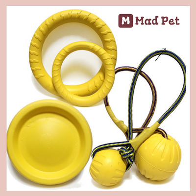 Dog Interactive Training Floating Toy - Bundle - Bundle 1: Large circle * 1/Disc * 1/Ball * 1