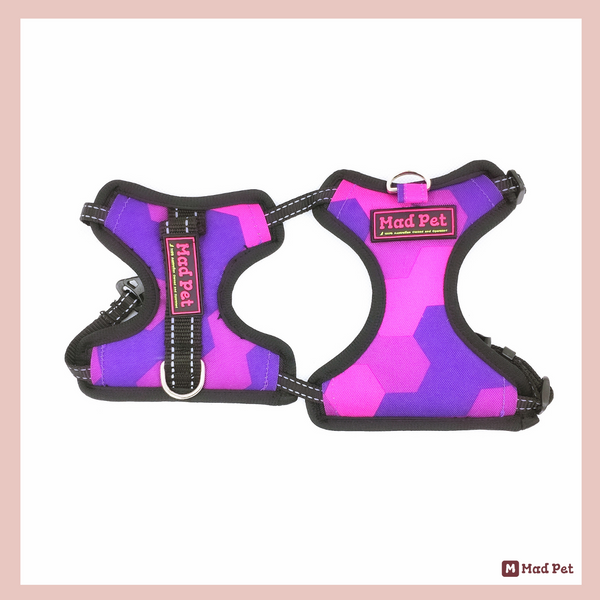 Dog Harness - Two Panels & Two Metal Clips (No Pull/No Choke) - Assorted